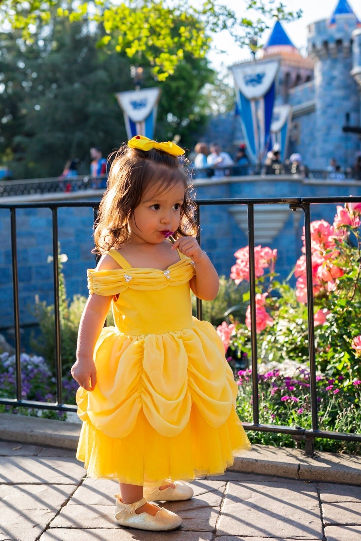 Baby Belle Provincial Dress Belle Blue Dress, Belle Provincial Life Dress, Belle Costume, Belle Dress, Beauty Baby Belle Provincial Dress Belle Blue Dress, Belle Provincial Life Dress, Belle Costume, Belle Dress, Beauty